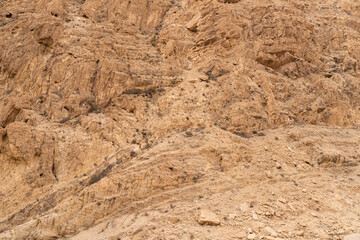 views of Selja Gorges -western Tunisia -Gafsa governorate - Tunisia