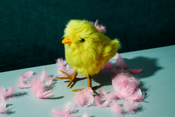 yellow teddy chick and pink feathers
