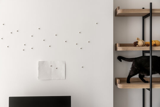 Contemporary interior of room with light walls