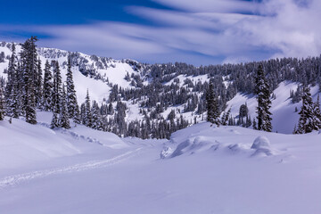 Fototapeta premium A trail of footprints in the Snow
