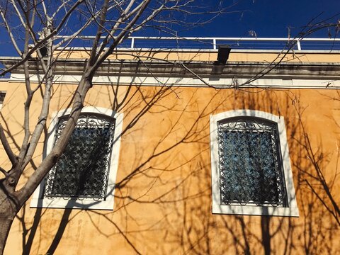 a venetian wall with a shadow of a tree
