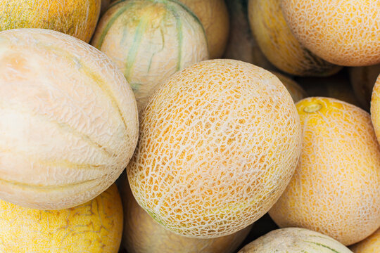 Cantaloupe melons background