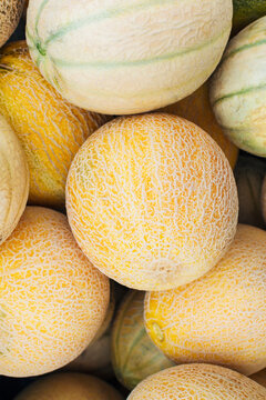 Whole Cantaloupe melons