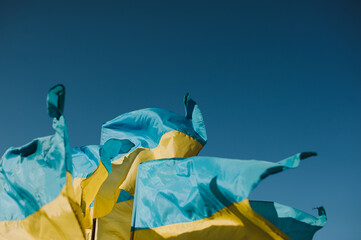 Ukrainian flags 