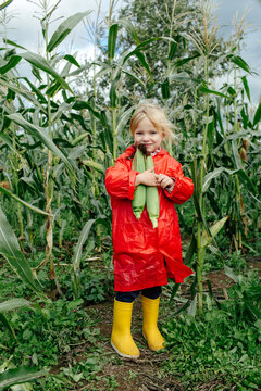 Little girl with corn ears in field during harvest work