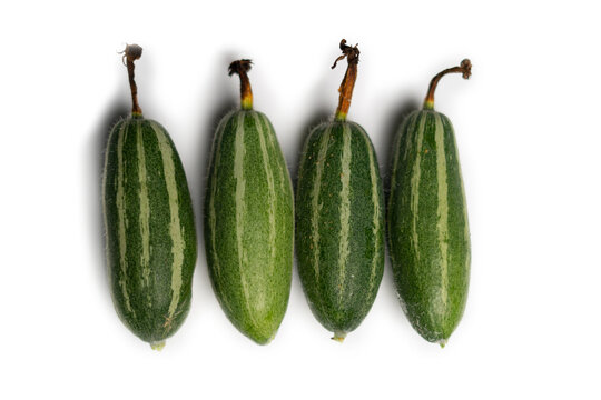 Pointed gourd or potol of Bangladesh  white background