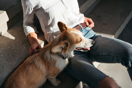 Woman with dog have rest outdoor.