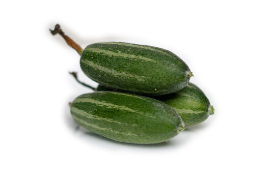 Pointed gourd or potol of Bangladesh  white background