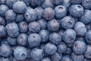 Fresh blueberries background with copy space.  Vegan and vegetarian concept. Macro structure of blueberries. summer healthy food.