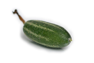 Pointed gourd or potol of Bangladesh  white background