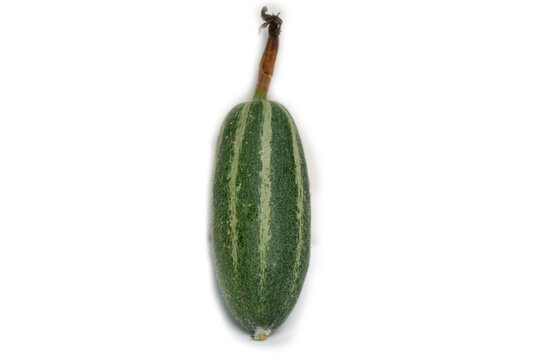 Pointed gourd or potol of Bangladesh  white background