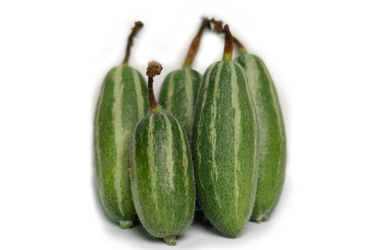 Pointed gourd or potol of Bangladesh  white background