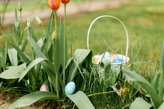 Colorful Plastic Eggs Hiding in Flowers