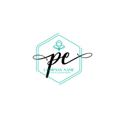 PE signature logo template vector