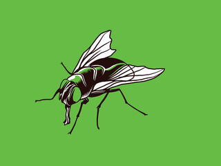 Flies icon set. Fly insect flying on a dotted route. Vector illustration © belapamungkas1