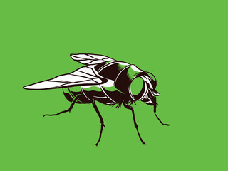 Flies icon set. Fly insect flying on a dotted route. Vector illustration
