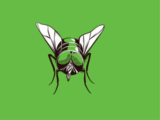 Flies icon set. Fly insect flying on a dotted route. Vector illustration