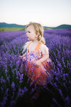 Portrait of cute little girl at purple lavender field at sunset.