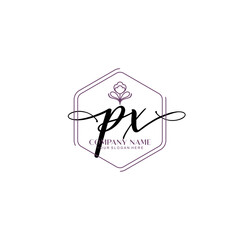PX signature logo template vector