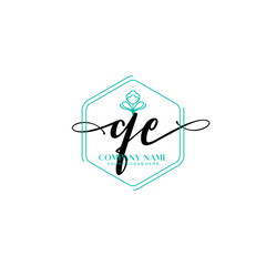 QE signature logo template vector