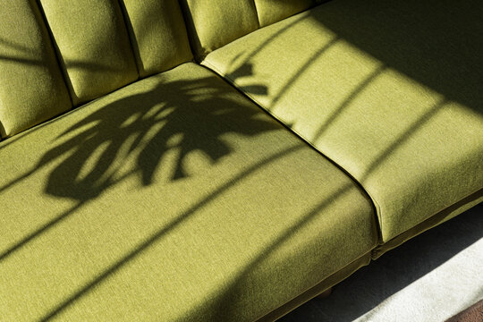 A beautiful light on a green couch with a monstera shadow on it