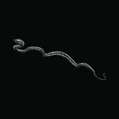 vine snake hand drawing vector illustration isolated on black background