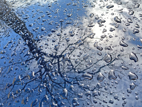 Raindrops On Car Roof