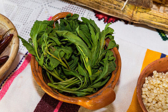 Epazote leaves, aromatic herb as a flavor ingredient for Mexican food