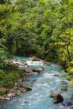 vertical image of a Costa Rican river with a light blue hue