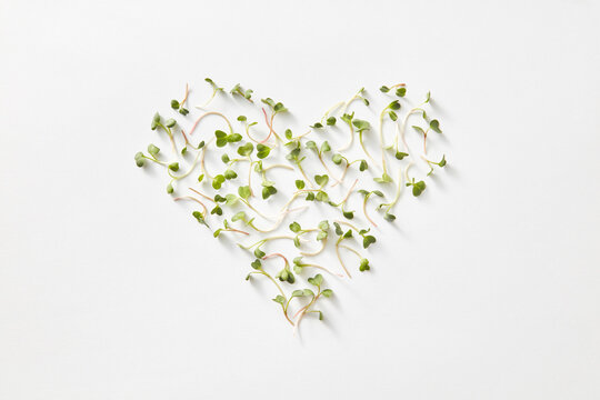 Heart made from natural eco microgreen.