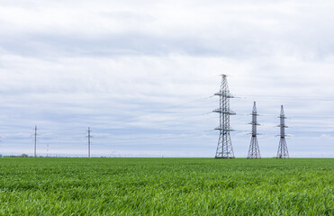 power lines on the background of a green field