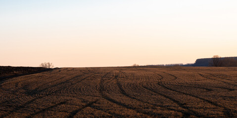 Field with tractor tracks under the evening sky © Dima Aslanian