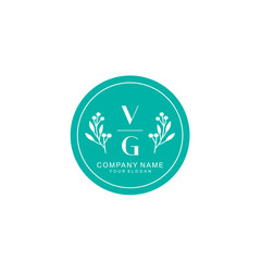 VG Beauty vector initial logo