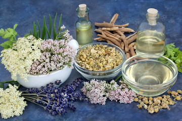 Herbs and flowers to treat insomnia and anxiety with valerian, lavender, elderflower, ashwagandha...