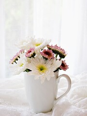 White pink flowers in mug cup of tea on embroidered cloth lace, window soft light background wedding concept romantic copy space for letter wallpaper Chrysanthemum morifolium Daisy hardy wedding card