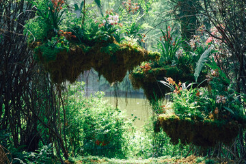 Orchids grow in the woods