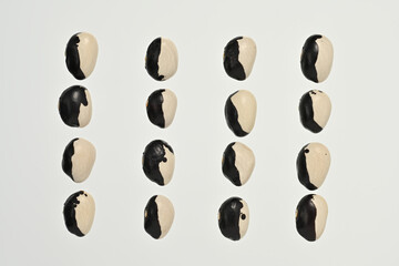 「パンダ豆」という日本の北海道産の豆です。