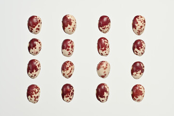 「紅しぼり」という日本の北海道産の豆です。