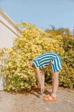 Man faceplants into flower bush