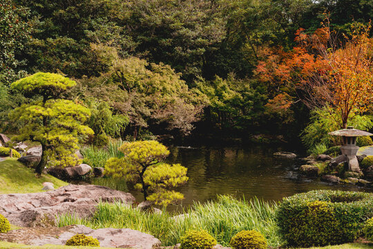 japanese garden