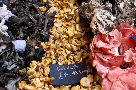 Girolle Bilder Durchsuchen 4,036 Archivfotos, und