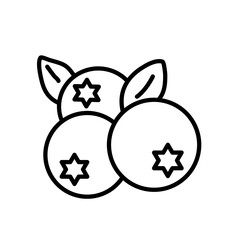  Jagody, borówki, świeże owoce leśne, ikona wektorowa © KR Studio