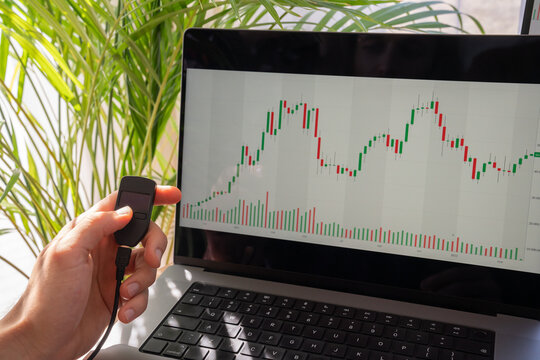 Holding Cold Wallet In Front Of Crypto Chart