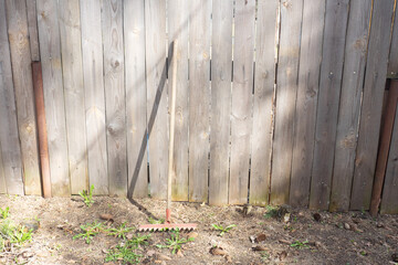 Garbage rakes stand on background of a fence made of old gray boards
