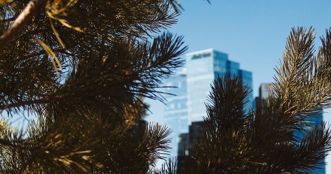 modern office building , downtown of saskatoon