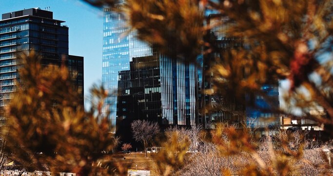 modern office building , downtown of saskatoon