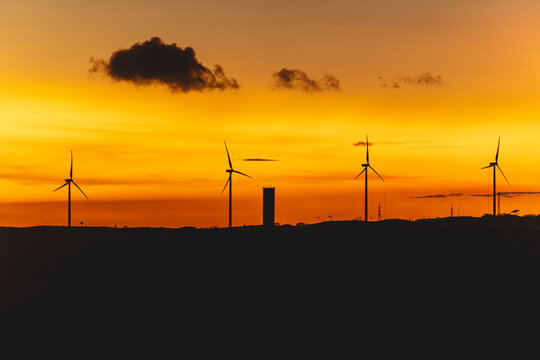Sunset with wind towers rotating and generating energy. 
