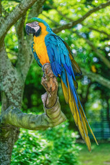 国営海の中道公園動物園