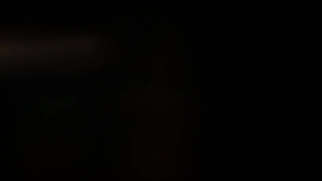 Bokeh lights on black background 4k footage, light leaks footage