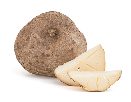 Pueraria mirifica isolated on white background with clipping path.